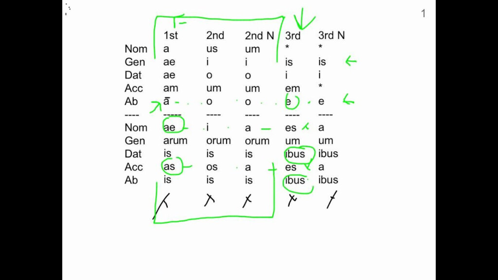 Latin Noun Adjective Agreement YouTube