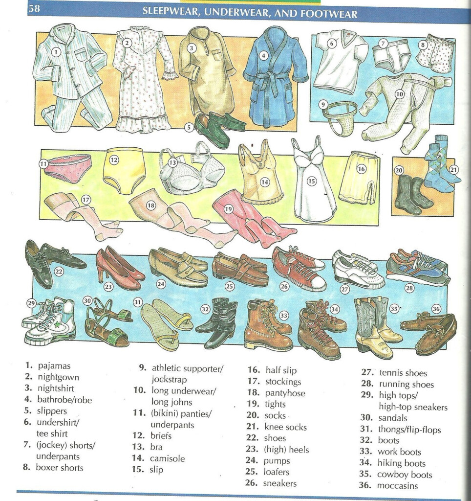 Miss Nicole s Classroom 8 Descriptive Adjectives And Clothes