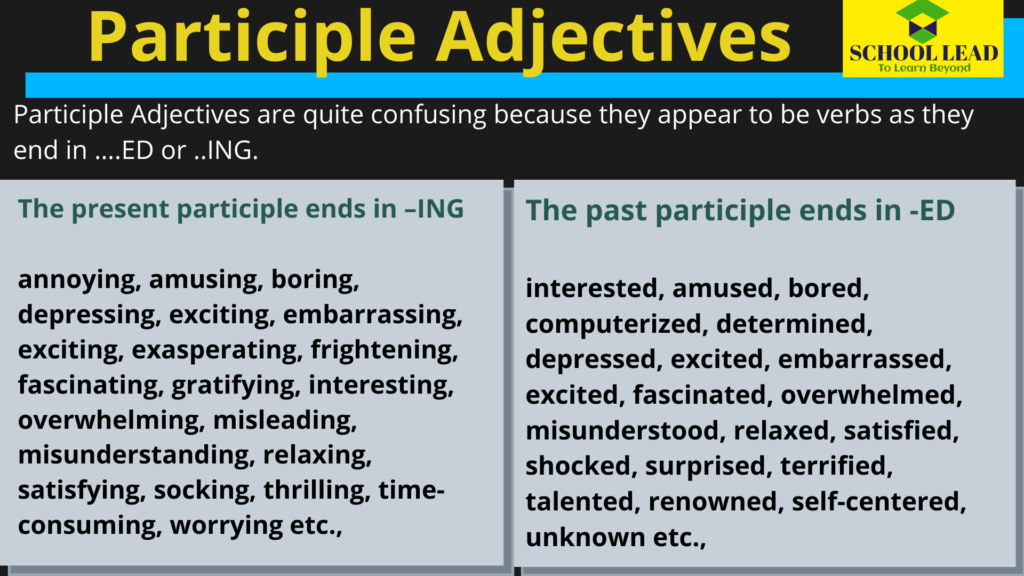 Participle Adjectives Exercises Pdf Archives School Lead