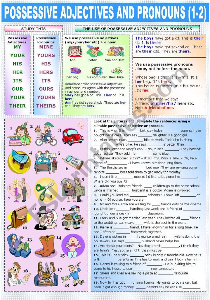 POSSESSIVE ADJECTIVES AND PRONOUNS 1 2 ESL Worksheet By Katiana