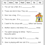 Possessive Adjectives Free Printables Grade 1 English