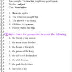 Predicate Noun Worksheets With Answers