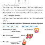 Pronouns And Pronoun Adjectives Worksheet Adjective Worksheet