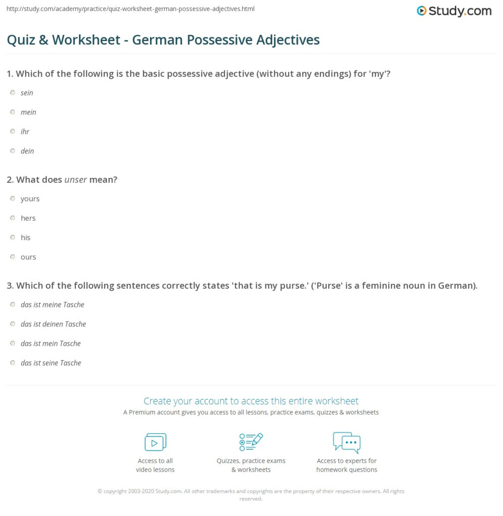 Quiz Worksheet German Possessive Adjectives Study