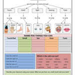 Sensory Adjectives Worksheet Free Download Gmbar co