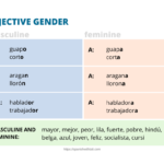 Spanish Adjective Agreement A Complete Guide Spanish With Tati