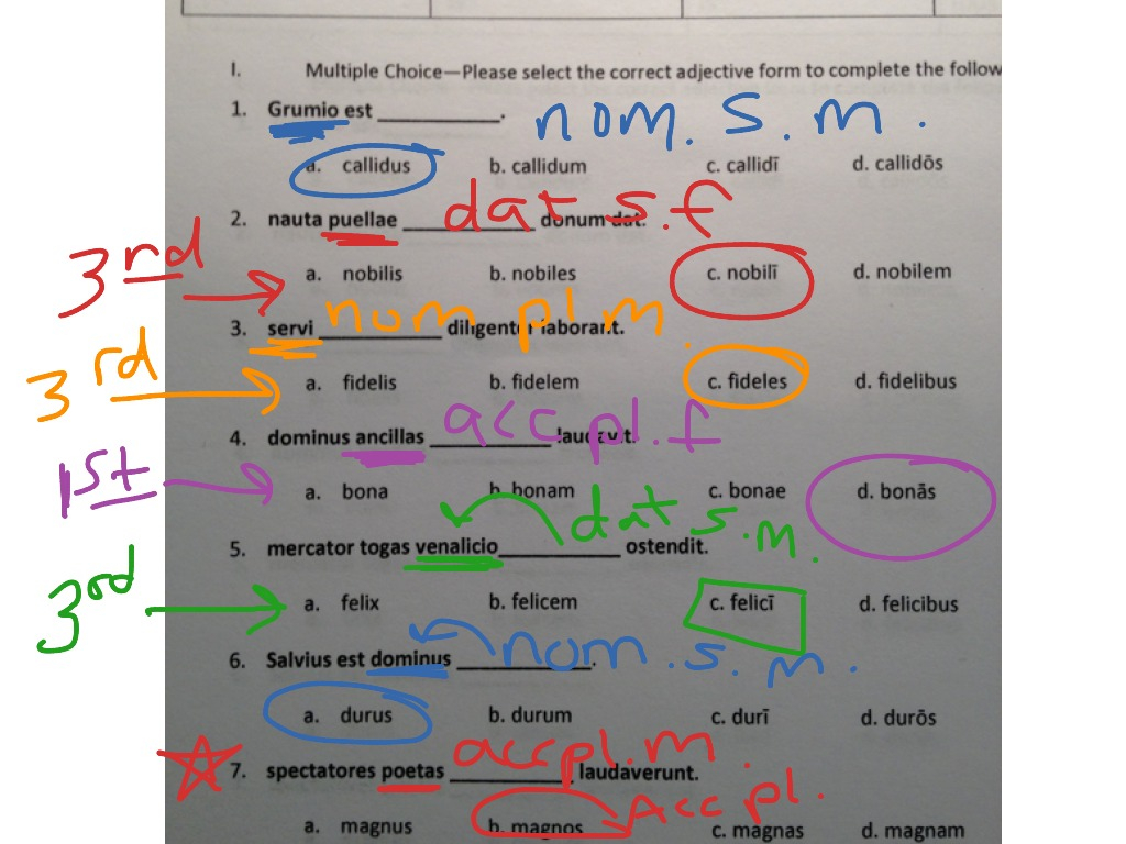 St 14 Noun Adjective Agreement 1 Language Latin Latin Grammar ShowMe