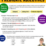 What Is A Predicate Adjective Useful Predicate Adjective Examples