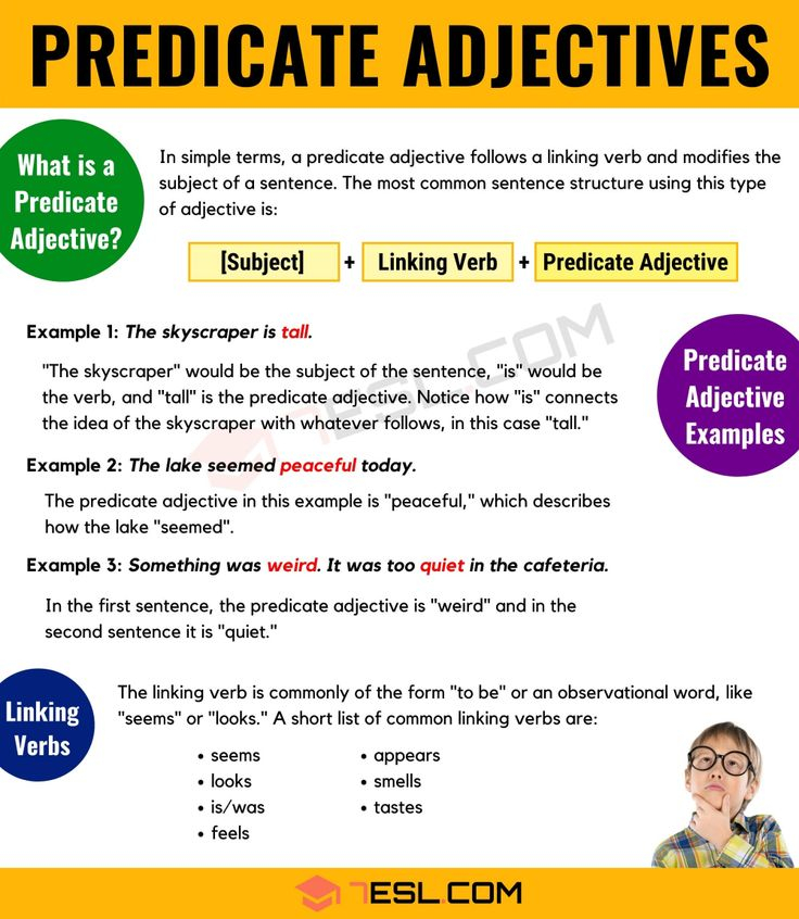 What Is A Predicate Adjective Useful Predicate Adjective Examples 